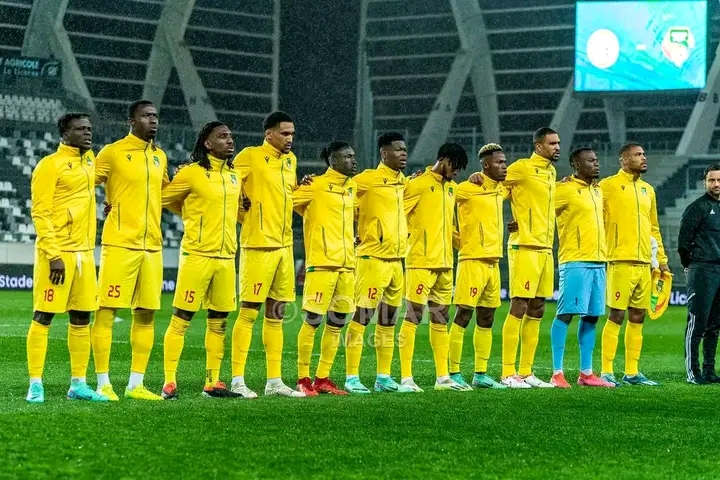 Gernot Rohr , après les matches amicaux contre le Sénégal et la Côte-d’Ivoire.